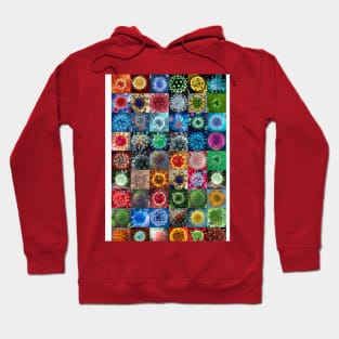 Covid 19 Hoodie